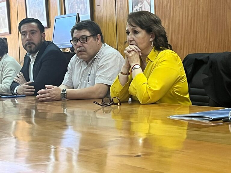 Sindicatos de Lundin Mining se reúnen con Ministra de Minería por caso de Minera Alcaparrosa
