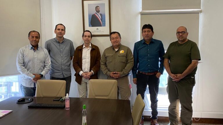 Fesumin y CTMIN se reúnen con Subsecretaría de Previsión Social por Reforma de Pensiones y Trabajo Pesado