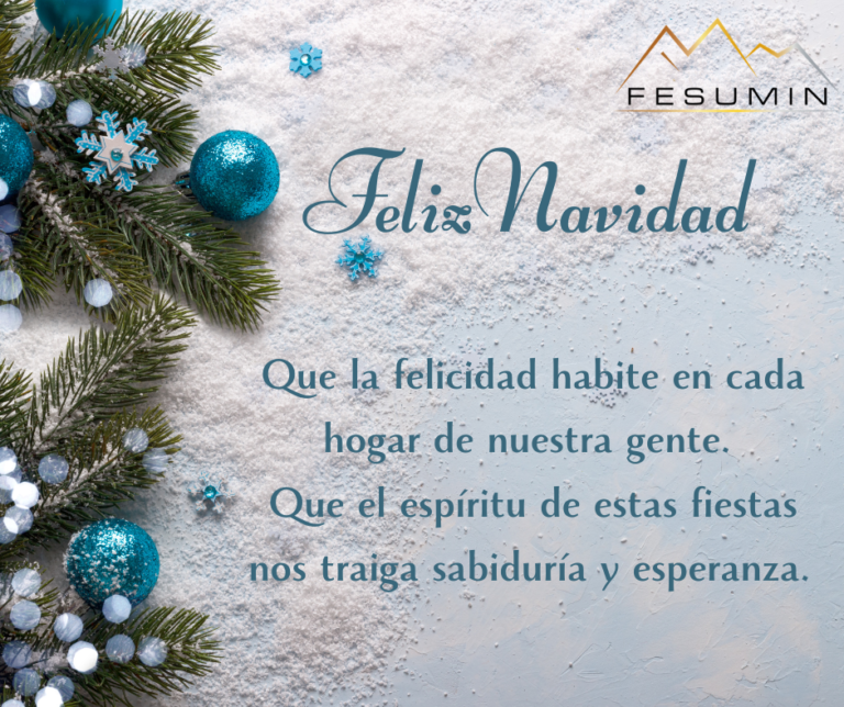 ¡Feliz Navidad queridos Supervisores!