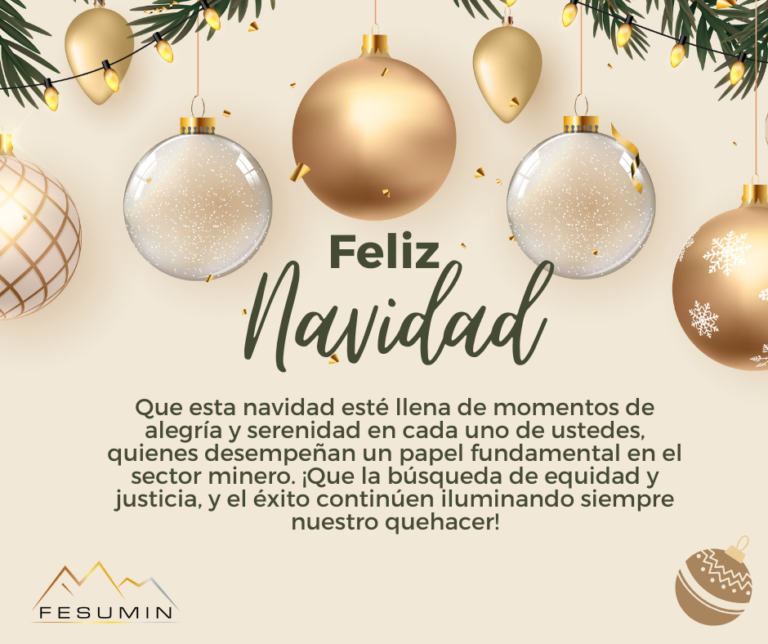 Feliz Navidad Socios y Socias