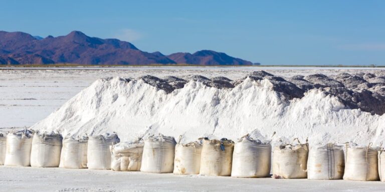 INFOGRAFÍA: Avances del Proyecto de Litio en el salar de Maricunga