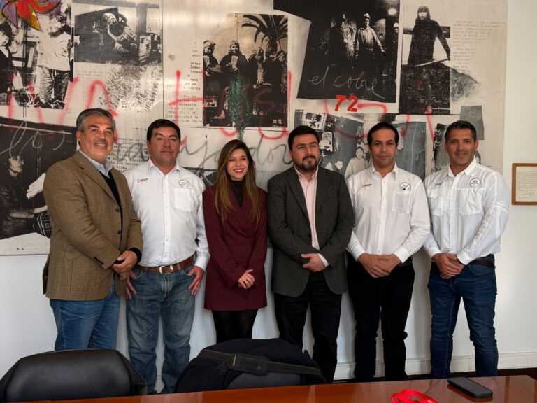 Fesumin solicita apoyo a la Dirección del Trabajo ante denuncias por prácticas antisindicales en Capstone Copper, Manto Verde