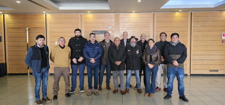 Dirigentes de Fesumin participaron en reunión presencial de CTMIN para analizar el escenario laboral y minero